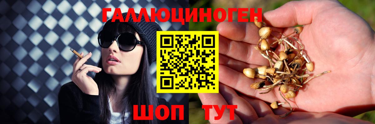 Галлюциногенные грибы ЛСД  Вход с VPN  Псилоцибиновые грибы Psilocybine cubensis  Карабулак 